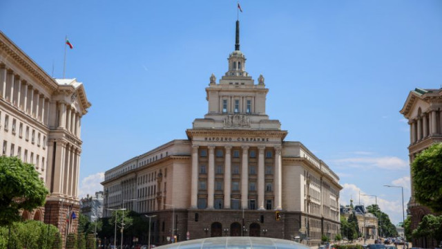 Тренд: Близо 1/3 от българите искат предсрочни избори